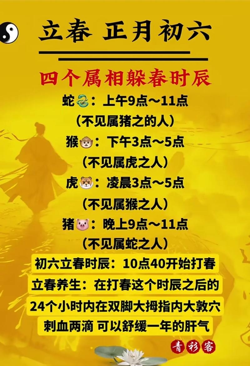 躲春生肖，探寻岁月的温柔叙事插图