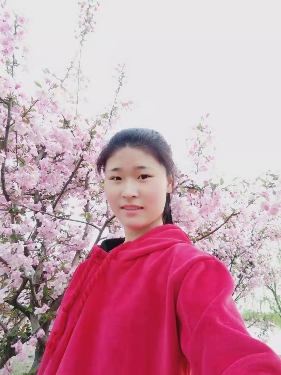 蒙城征婚刘金定插图