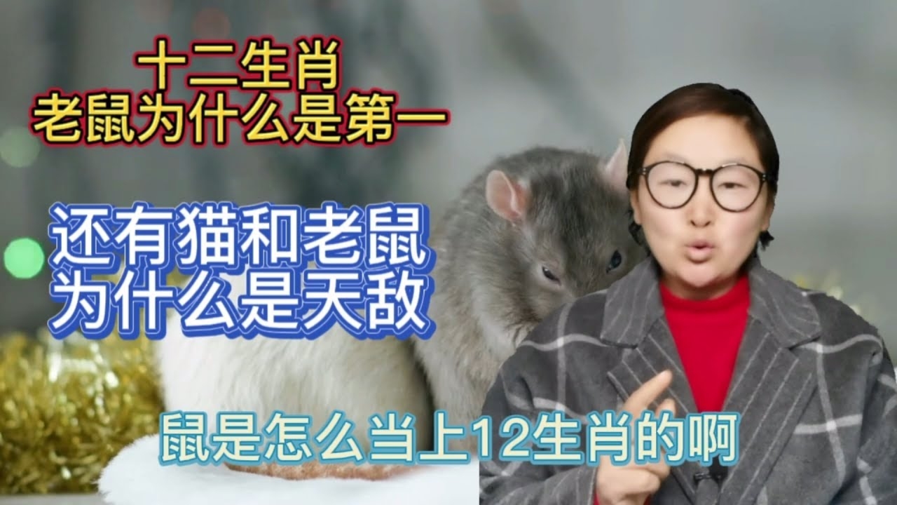 绝处逢生，生肖鼠显生机插图