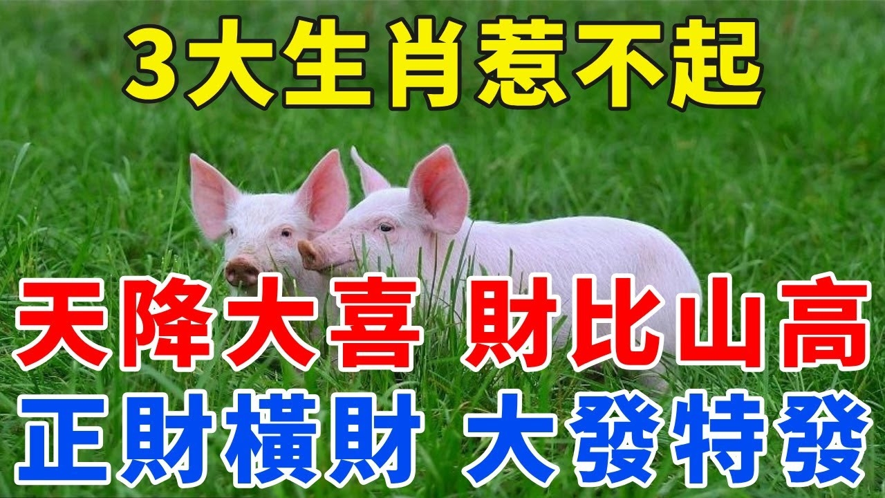 尖担担柴两头脱，生肖之喜，生活命途里的「两通灵」插图