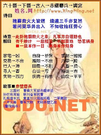 瓷都算卦，古老智慧的现代传承插图