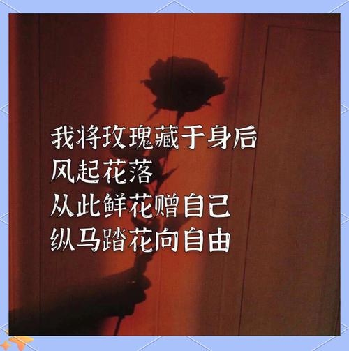 斩断桃花，一场关于自我成长与情感独立的旅程插图