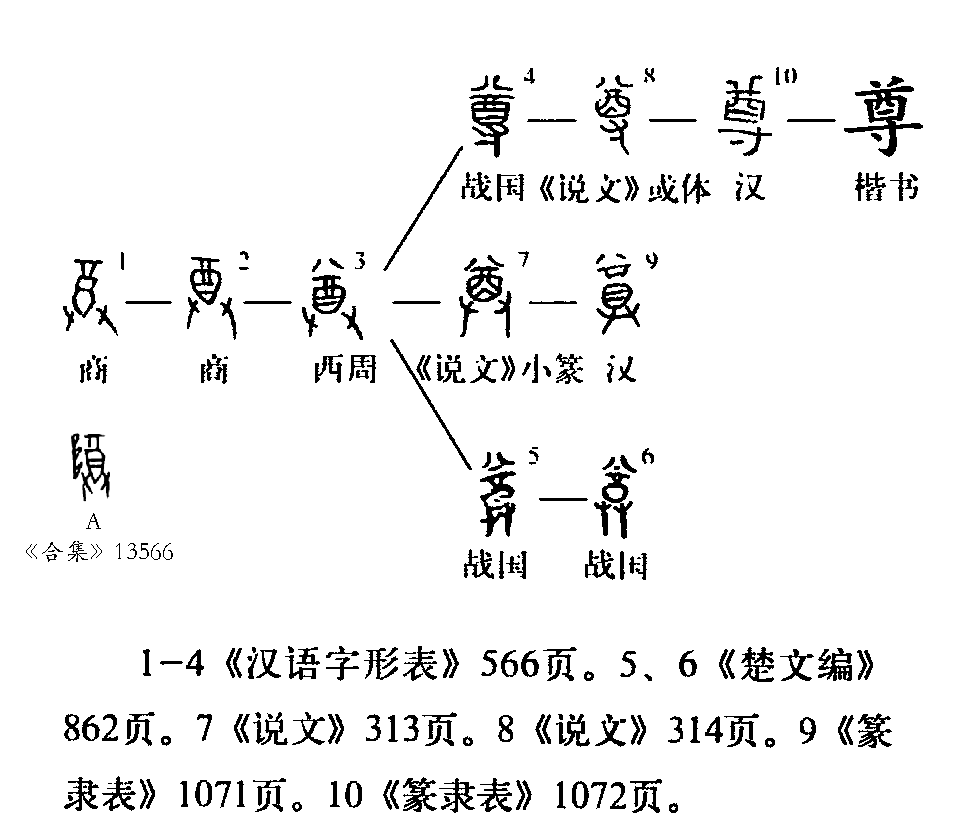 侍的拼音，尊的拼音在文化与礼仪中的演变插图