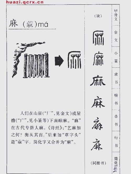麻的拼音与文化探微，从字音到字义的深度解读插图