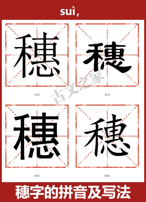 穗的拼音与文化意象，探秘suì的音韵之美插图