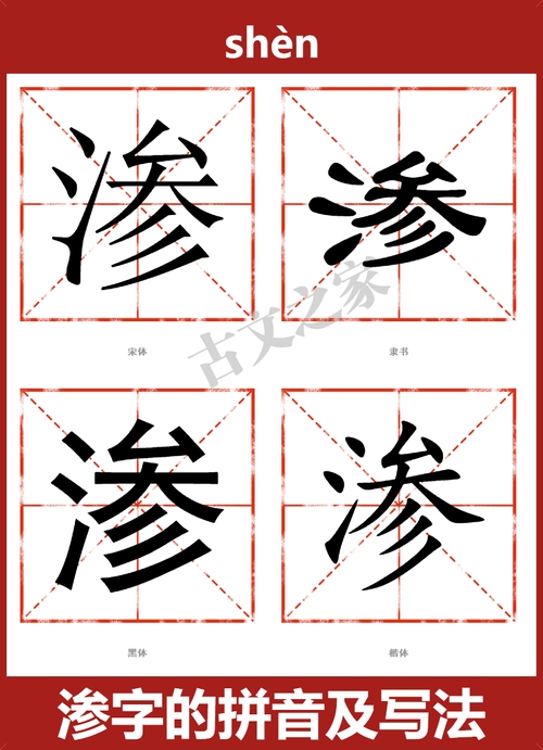 渗的拼音与它在日常生活中的应用插图