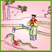 树大招风，属相特质暗藏权谋密码插图