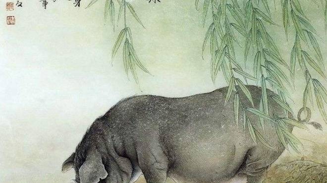 树大招风指的是生肖猪插图 树大招风指的是生肖猪插图