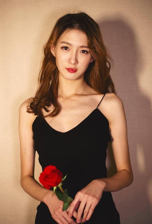 雪儿，寓意变化、挑战与多才多艺插图