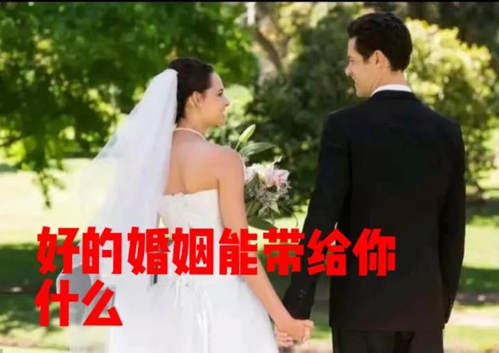 免费合婚,让婚姻更美好,人生更精彩插图 免费合婚,让婚姻更美好,人生更精彩插图