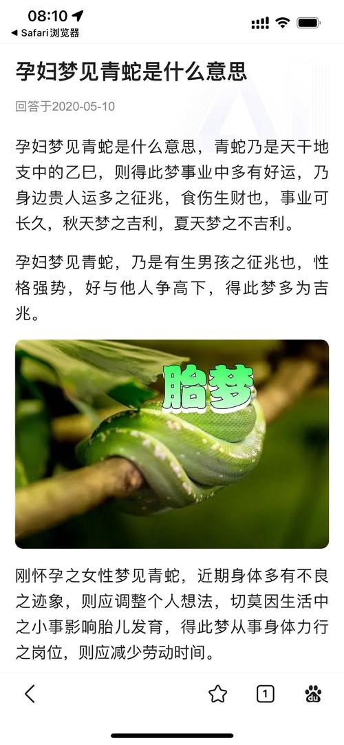 孕妇梦见众多蛇，胎象期的神秘梦境，暗藏生命馈赠插图