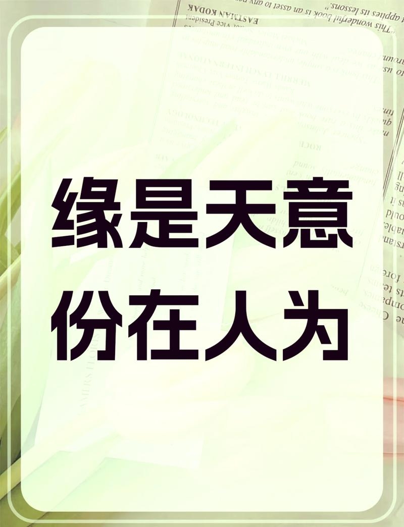 缘分配，构建人生与命运和谐密钥插图