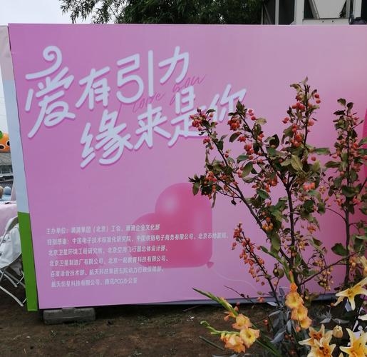 免费相亲，开启美好邂逅的新起点插图