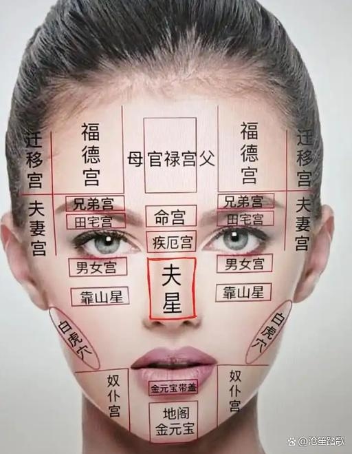 旺夫相图解，精准解读旺夫命理，把握富贵双全之道插图