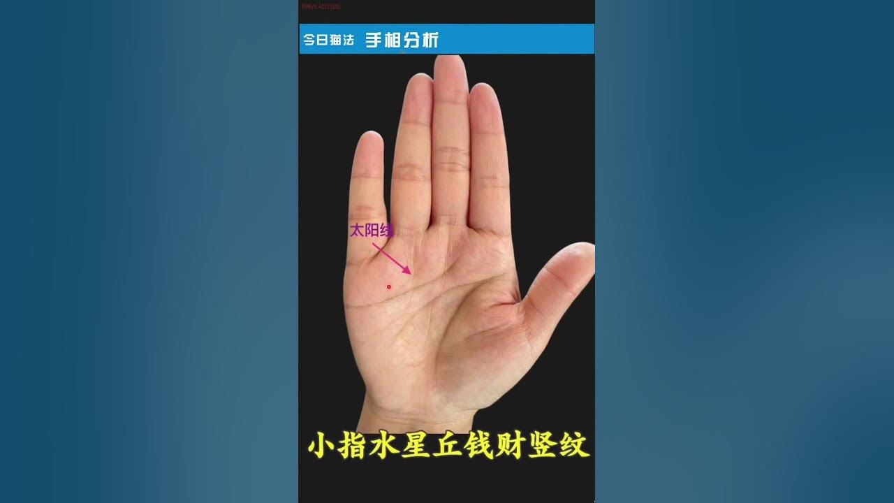 旺夫相特征解析，面相与手掌的奥秘插图