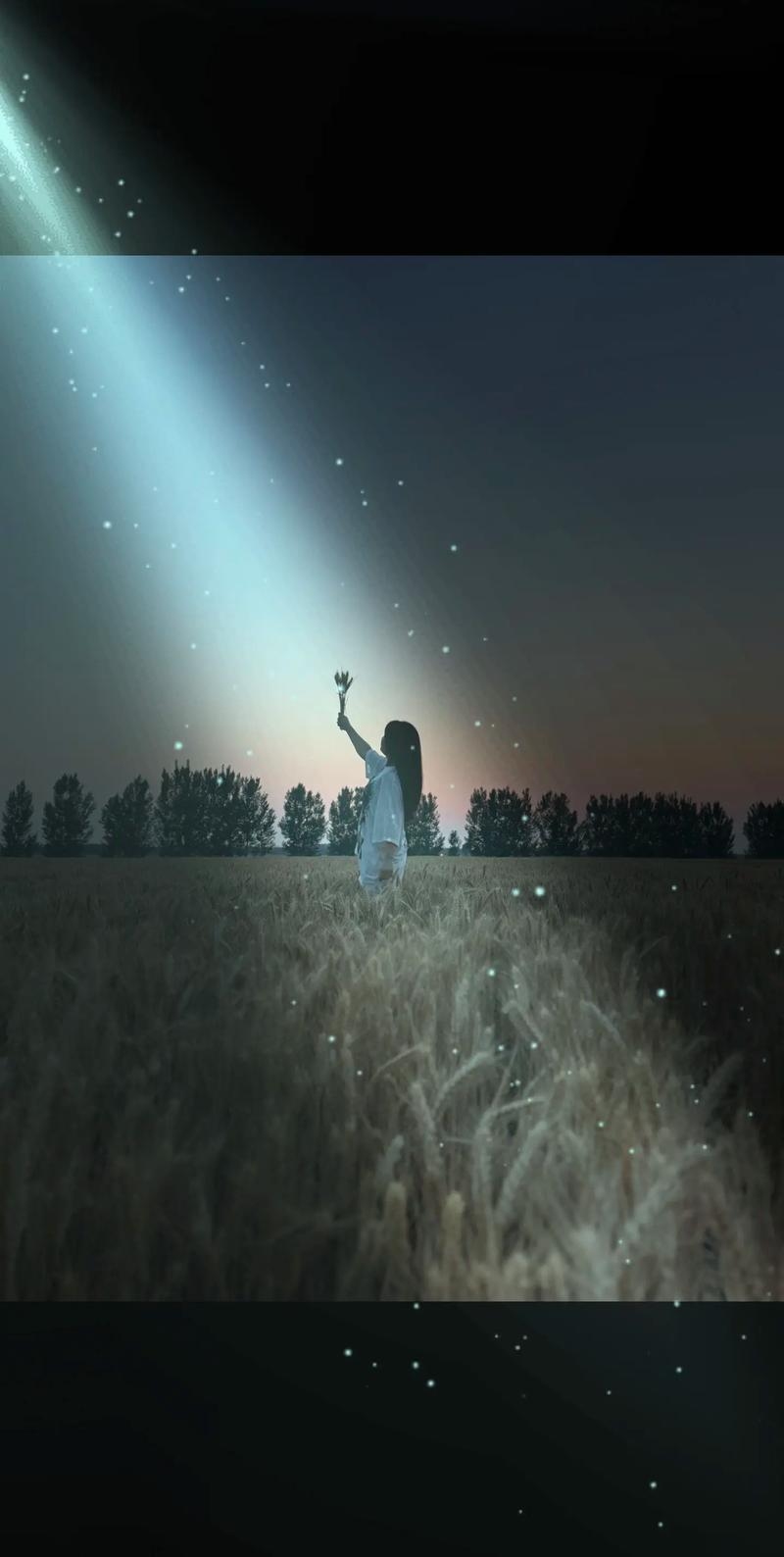 微光里的温暖——那些藏在日常里的情感瞬间插图