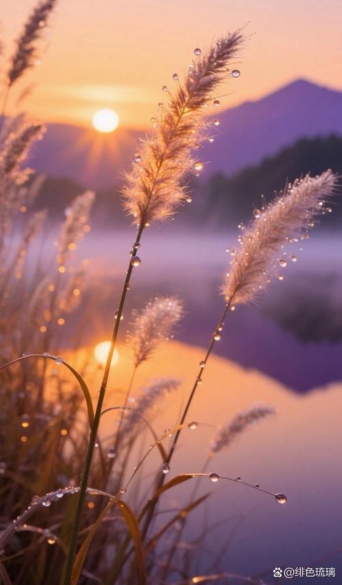 熹光，宁静温暖的晨光，诗意盎然插图