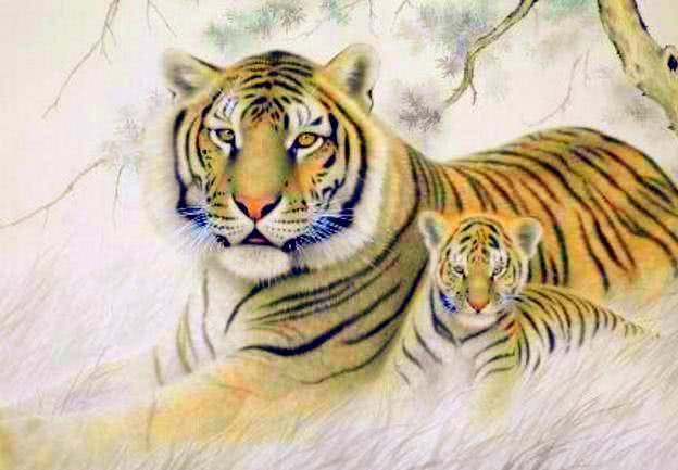 属虎今年有一难，挑战与机遇并存的年份插图