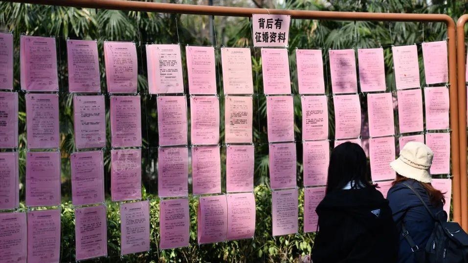 征婚女人，在爱与自由之间寻找归宿插图