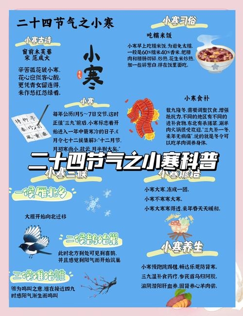 小寒天气，寒冷的启示与温暖插图