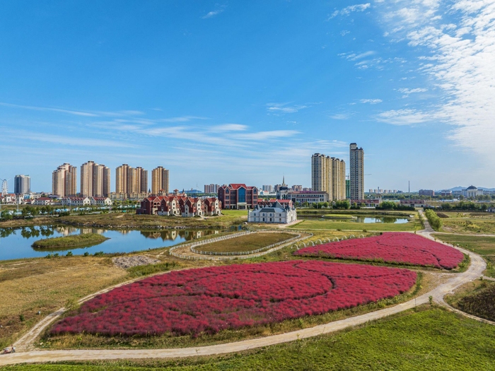 威海征婚，海滨之城的浪漫邂逅插图