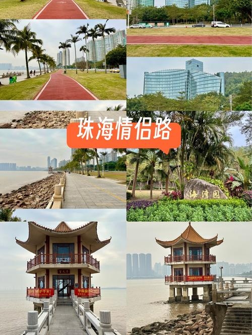 珠海聊天室，连接城市与心灵的桥梁插图