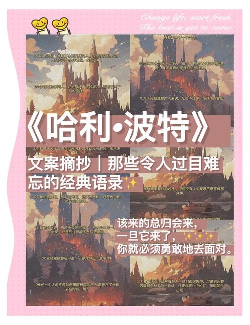 哇哈123，一场关于「认知的魔法」的邂逅插图