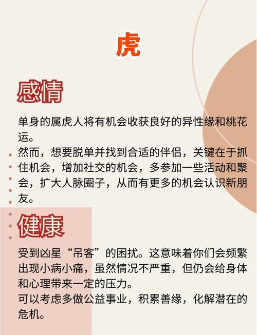 属虎2023年的运势及运程插图