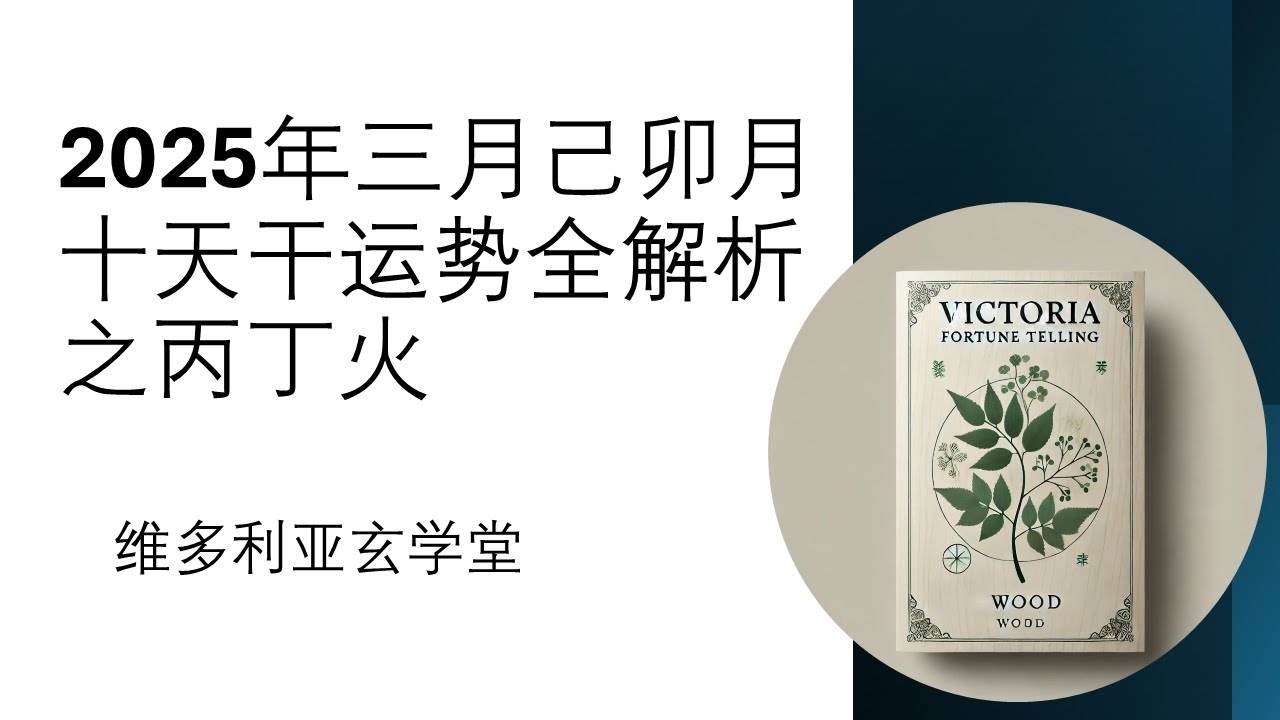 丁火寅月生命格局解析插图