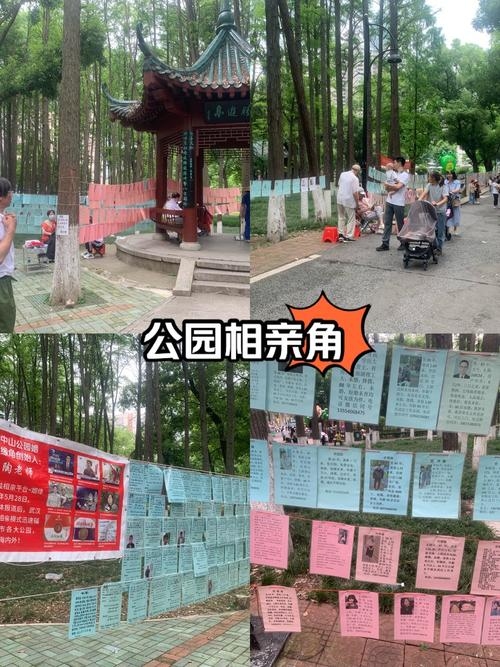 征婚新招，公园相亲角、社交软件与红绳，传统与现代的结合插图