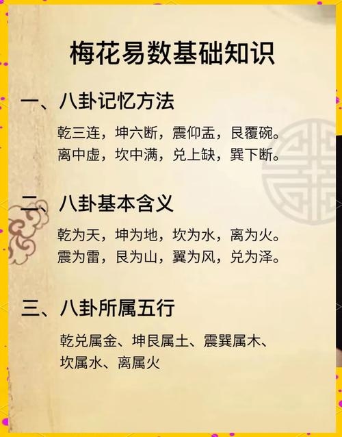 梅花易数，探索古代占卜艺术的奥秘插图