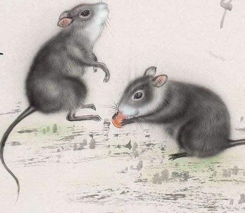 孤家寡人代表生肖，龙或鼠插图