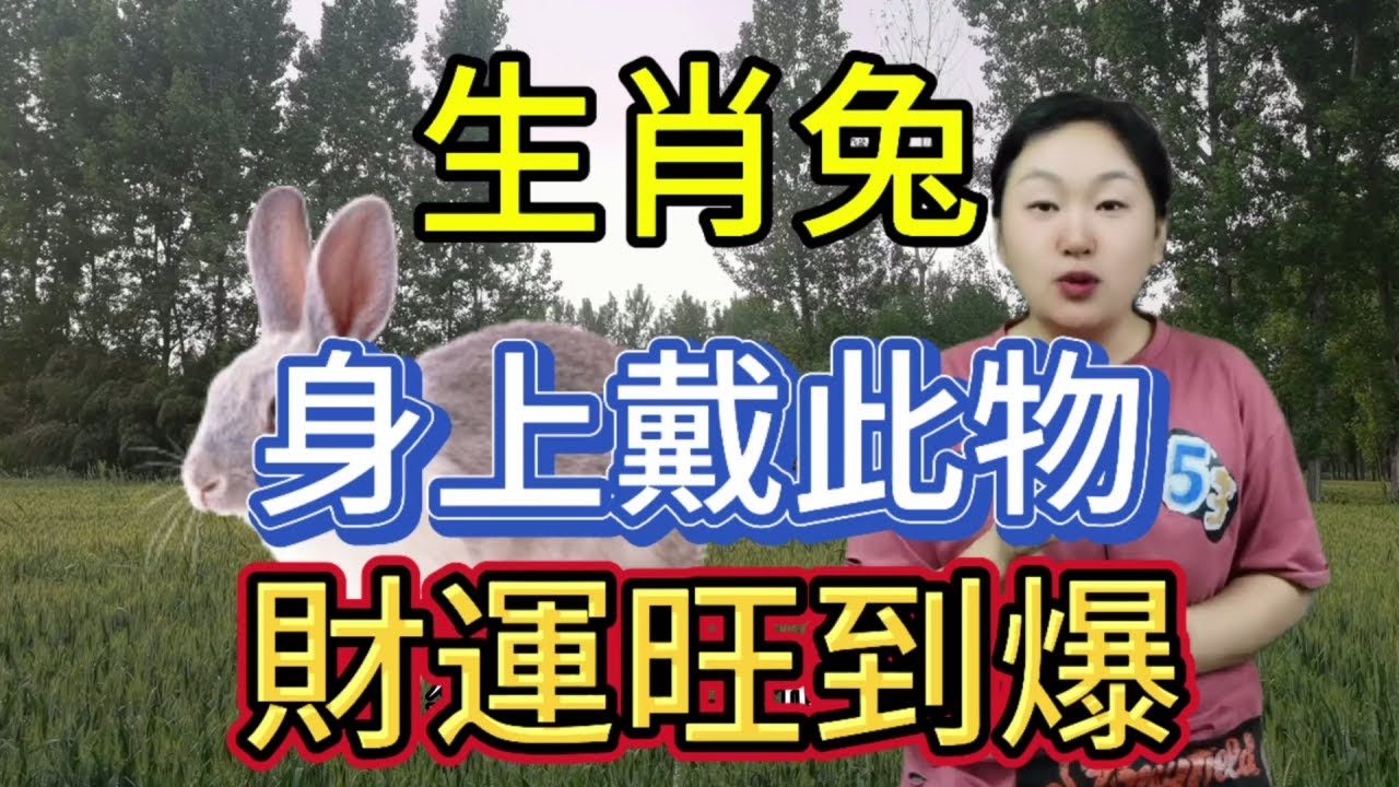 小家碧玉指的是生肖兔插图 小家碧玉指的是生肖兔插图