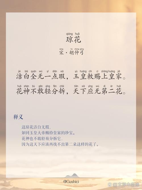 诗经中的琼华之美，纯洁高雅，如花绽放插图