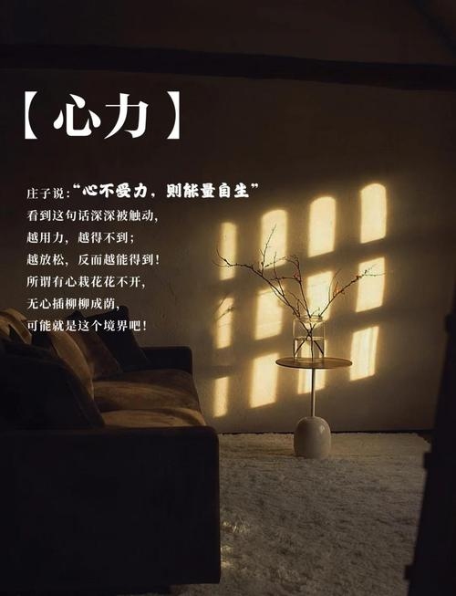 心宽，内心的光与力量插图