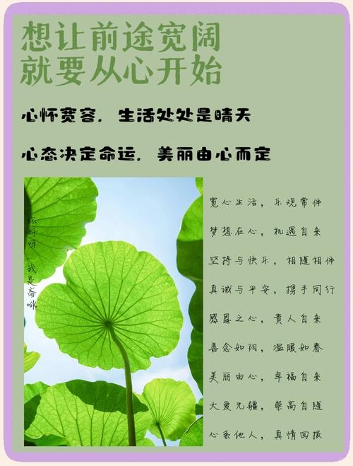 心宽，照亮心灵之路的真谛插图