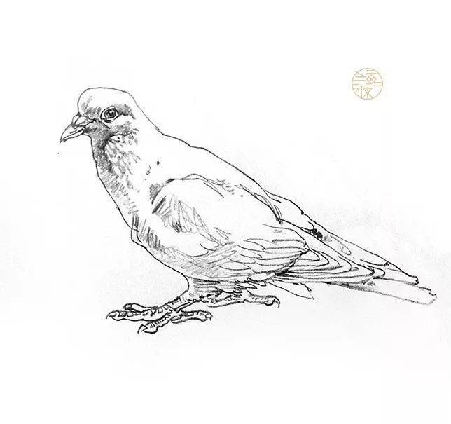 苍老师，笔下的星辰，照亮成长之途插图