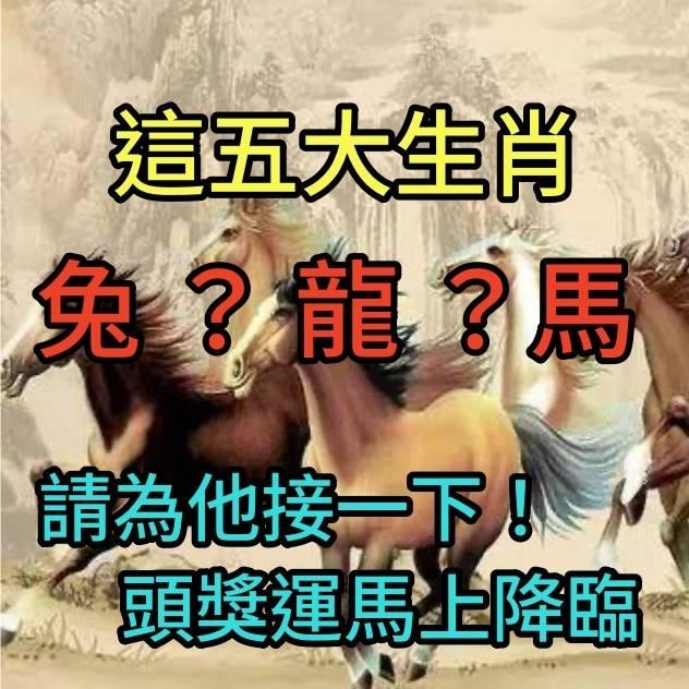 属马的命运，奔腾不息，命运多舛插图