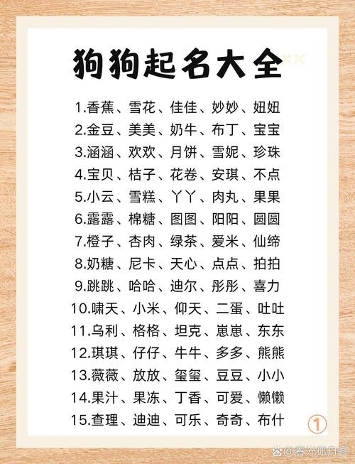 狗名大全,为你的爱犬挑选独一无二的名字插图 狗名大全,为你的爱犬挑选独一无二的名字插图
