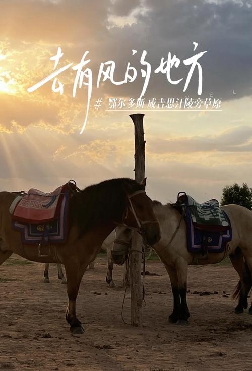 骑马回家，穿越时空的驿站，温暖生活的新起点插图