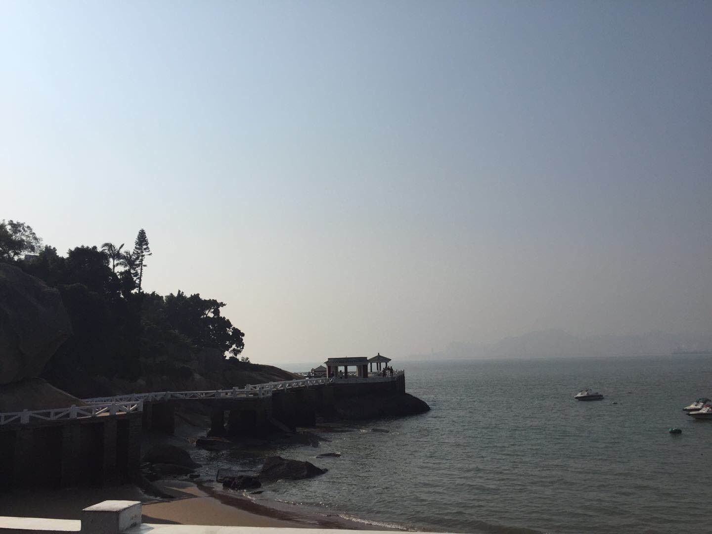 厦门婚介公司的浪漫桥梁，为爱导航的幸福之旅插图