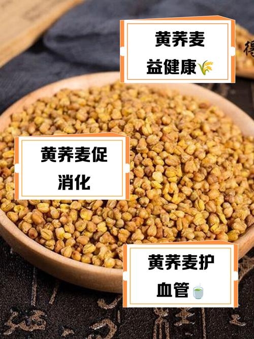 荞麦黄药子，学名别名及生长分布揭秘插图