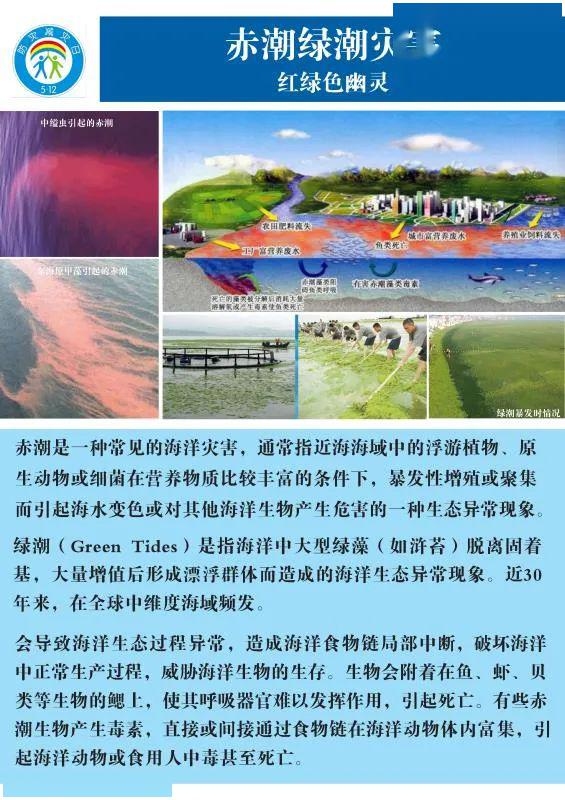 渔民节举行，提醒防灾意识插图