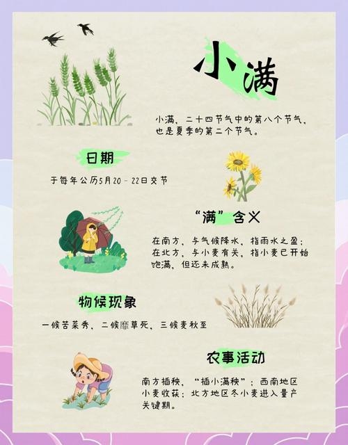 小满节气的时间与意义探析插图