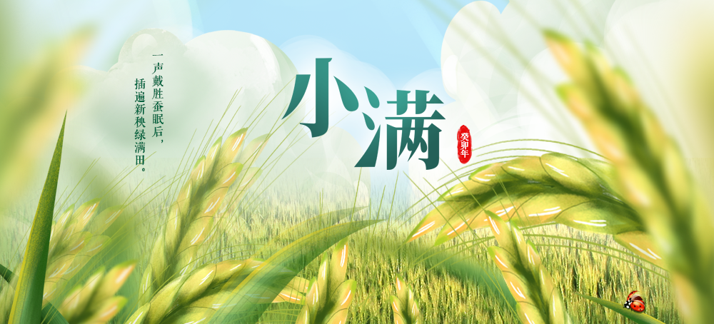小满节气的含义与象征意义插图
