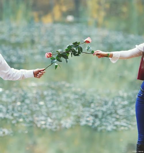 昆明交友，在春城遇见温暖的你插图