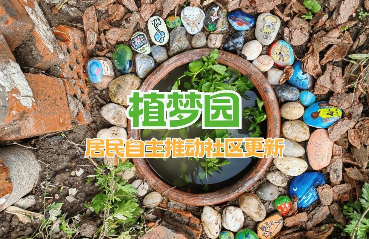 筑梦家园，探寻当代实际家园的独特价值插图