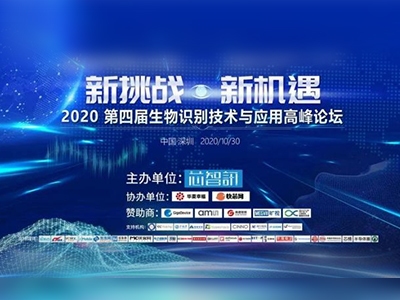 姓名匹配，技术、挑战与未来展望插图