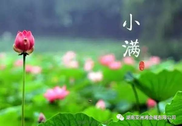 小满，生活中的微妙哲理与节气之美插图