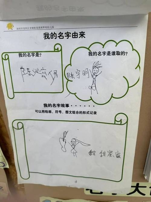 姓名，1518的独特魅力与成长轨迹插图